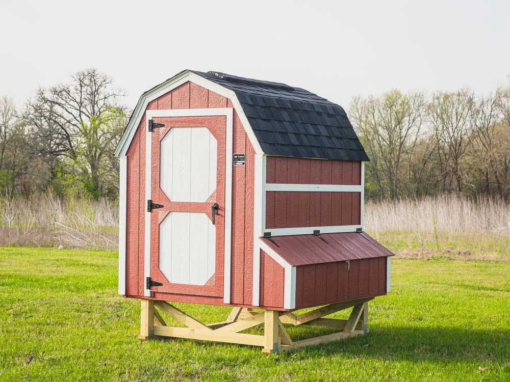 Chicken Coop
